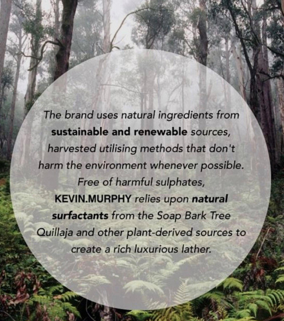 Alora Salon Wellness Spa